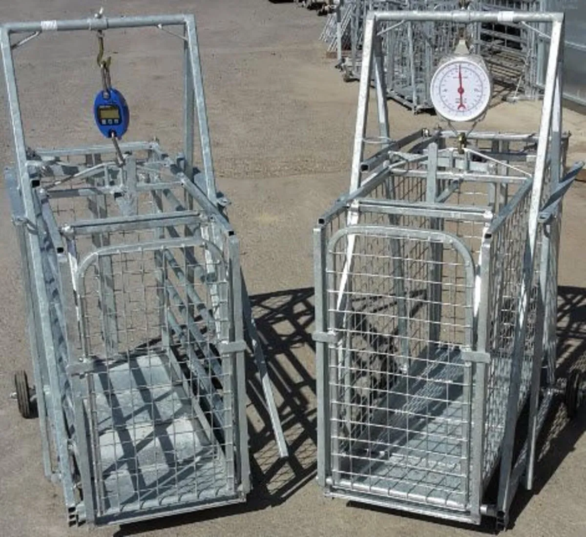 Portable Sheep Handling Setup with Weighing - Image 1
