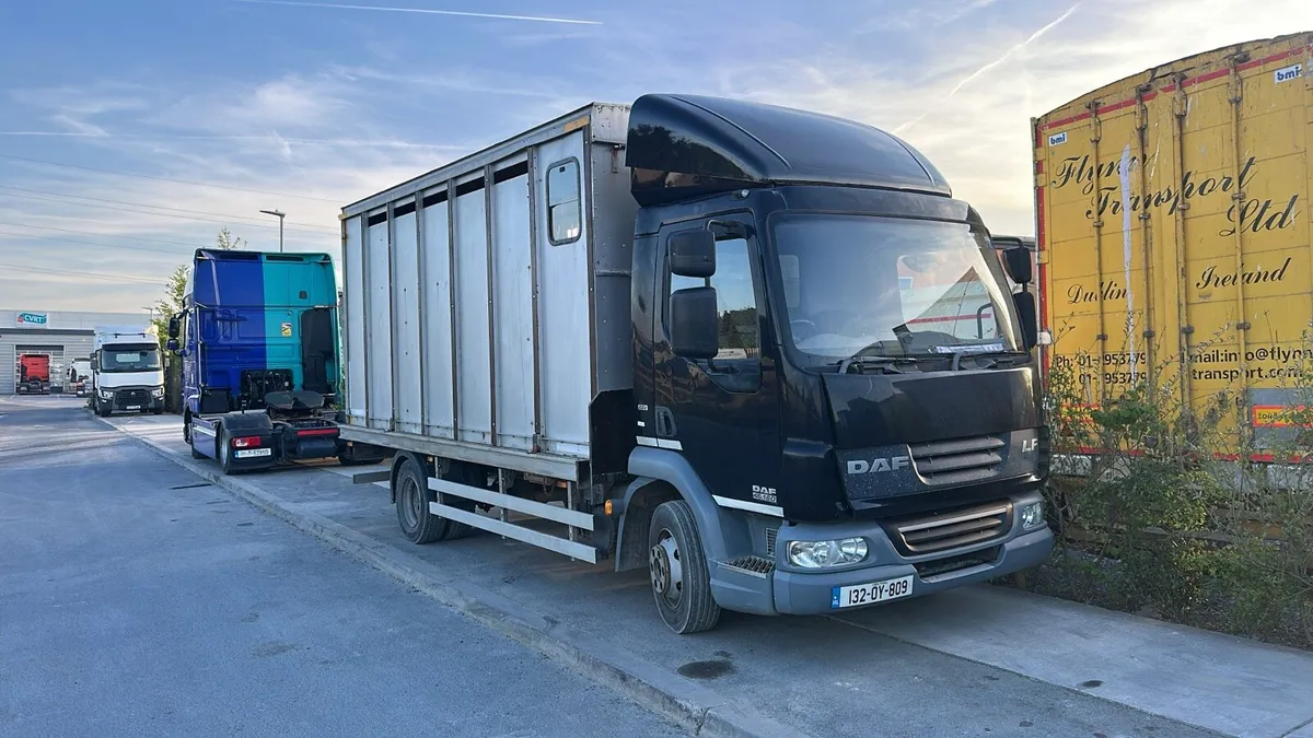 Daf horsetruck - Image 1
