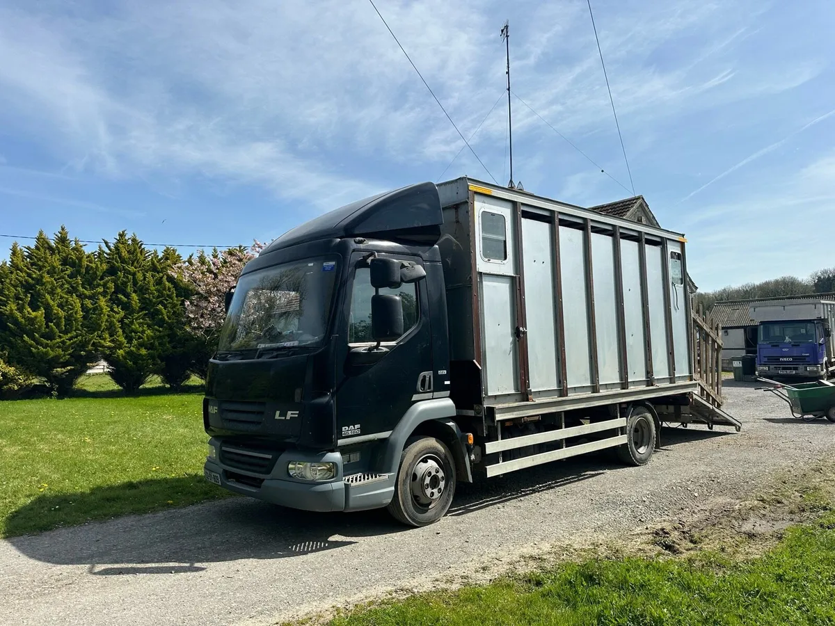 Daf horsetruck - Image 2