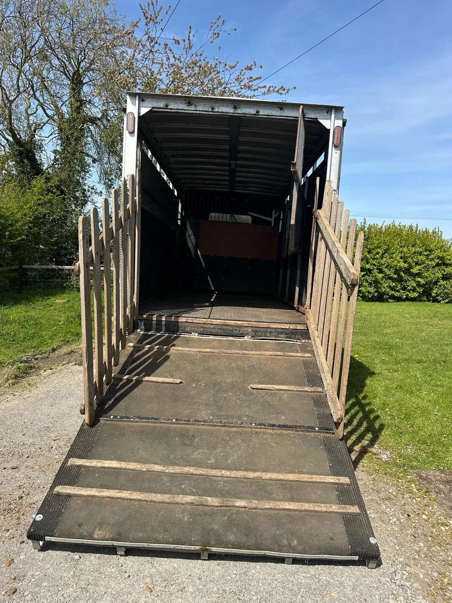 Daf horsetruck - Image 3