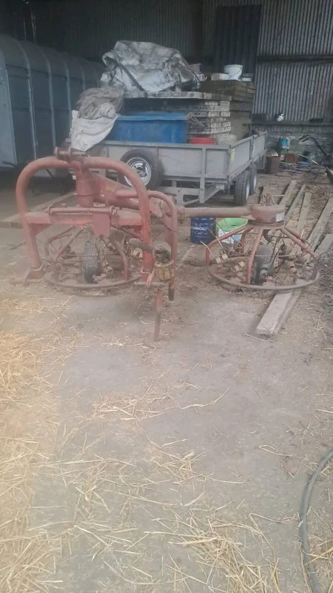 Hay rake - Image 2
