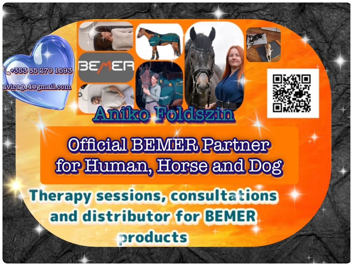 BEMER Horse set hire - Image 4
