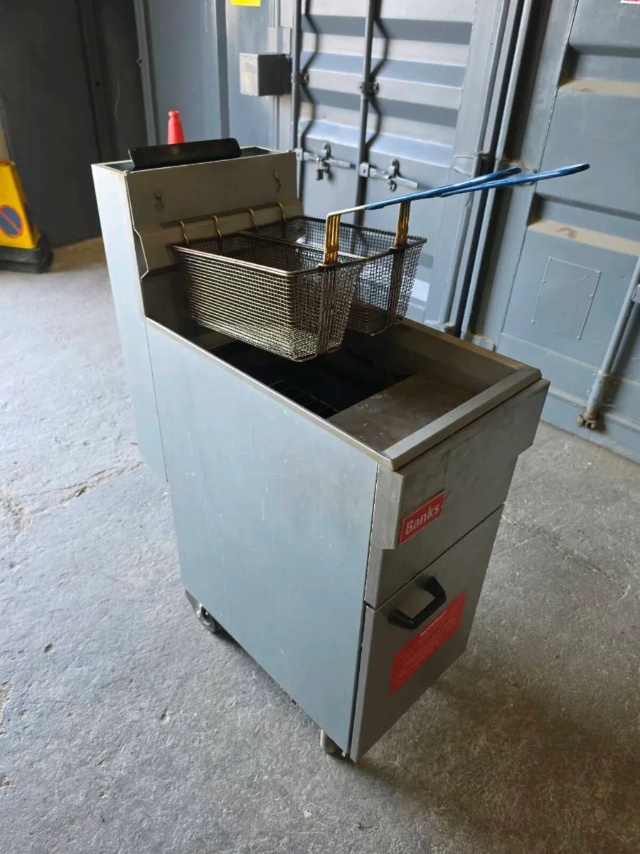 Fryers for sale - Image 1