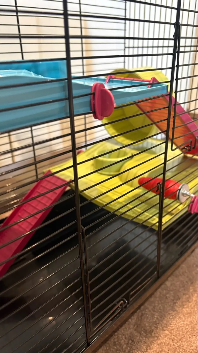 Hamster house - Image 4