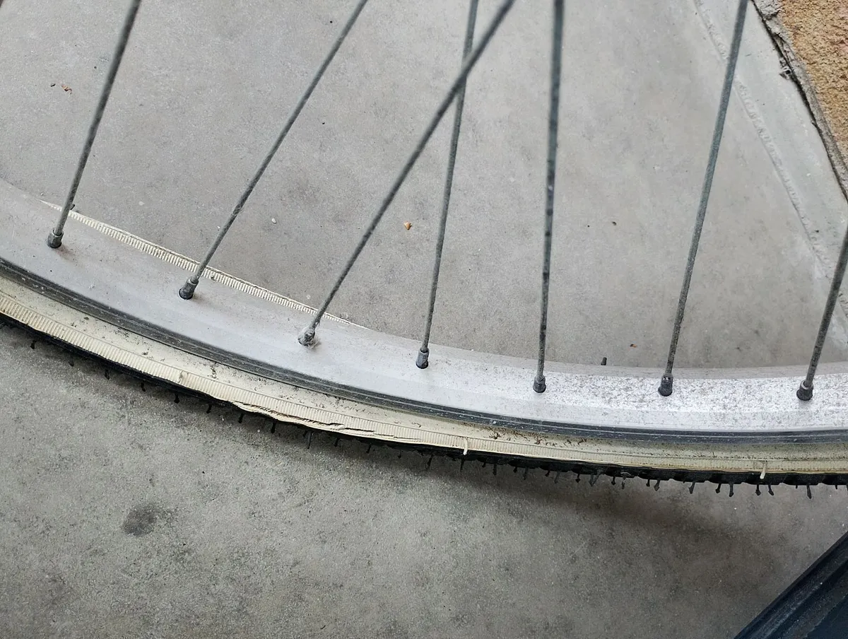 Girl's Bicycle - Image 2