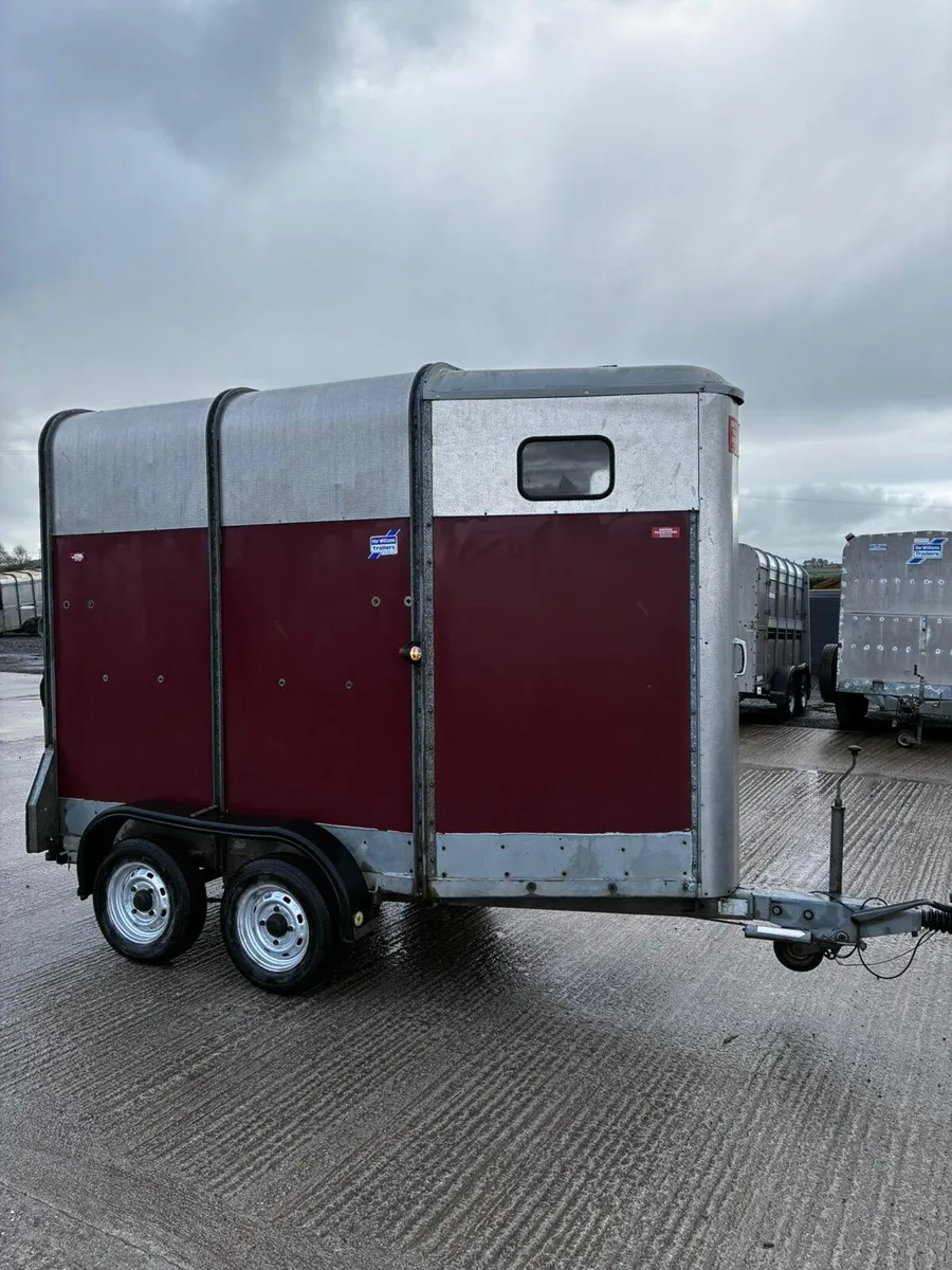 Ifor williams mare and foal box - Image 1