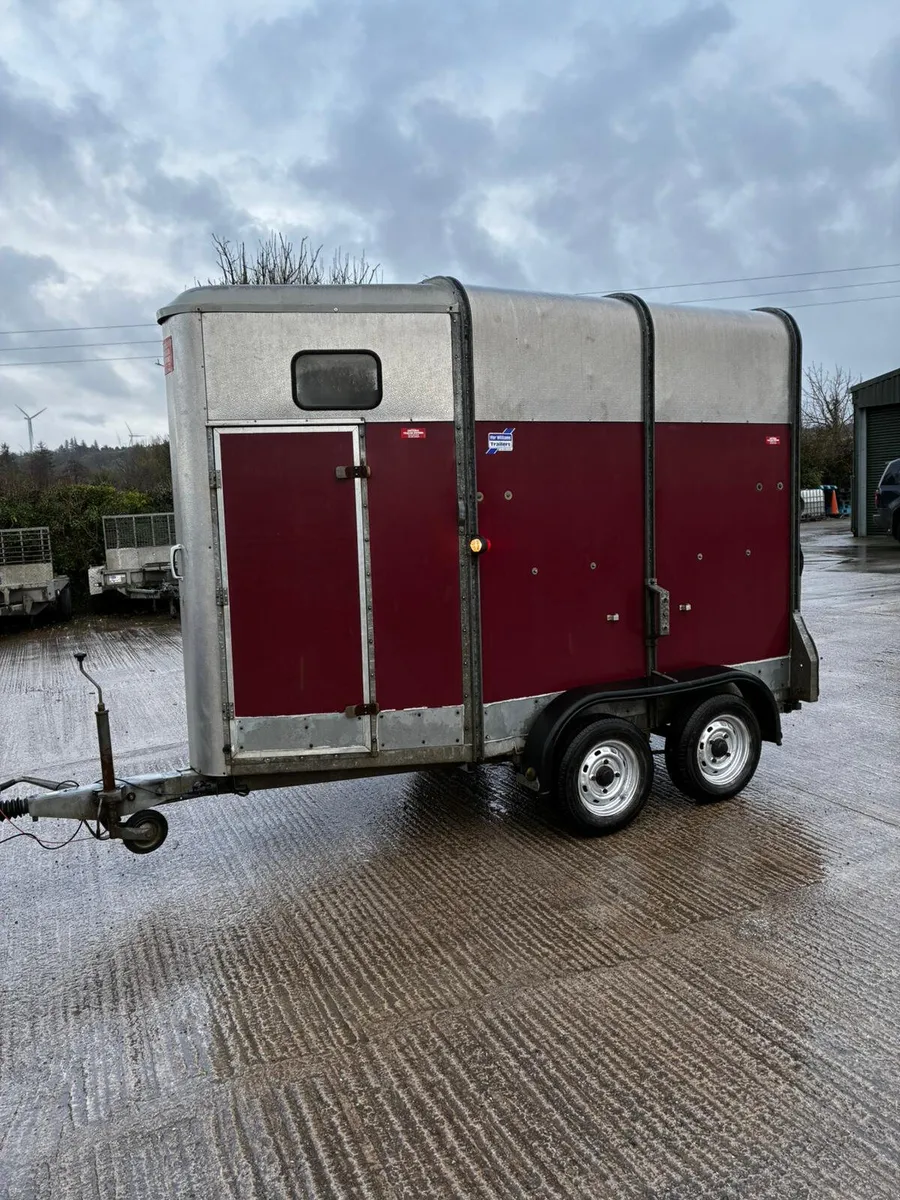 Ifor williams mare and foal box - Image 4
