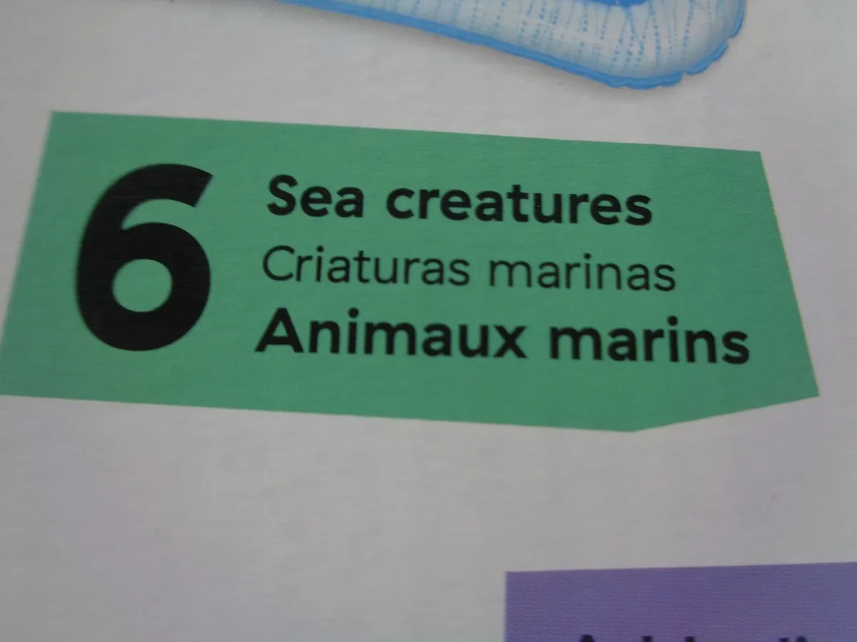 Baby Einsteion Opus of Discovery for Sale - Image 4