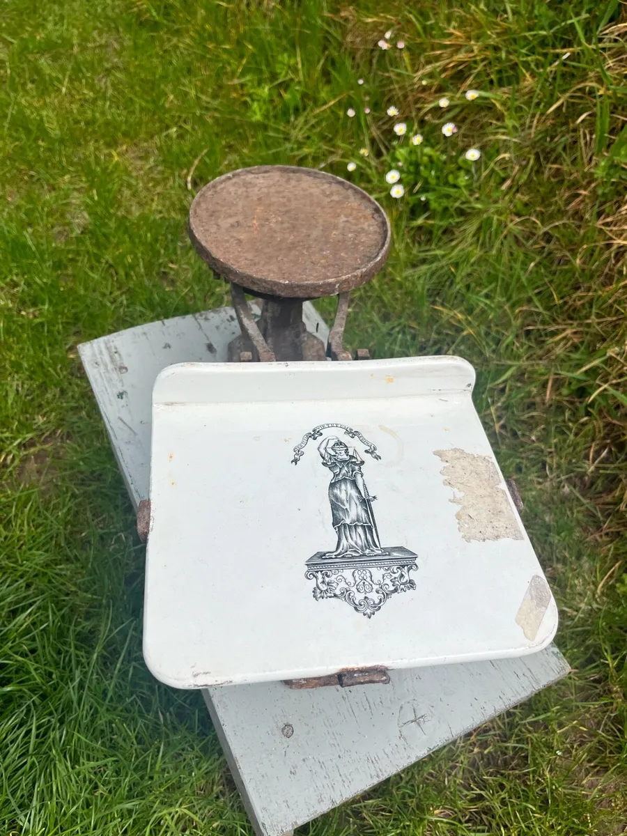 Victorian Dairy Scales - Image 3