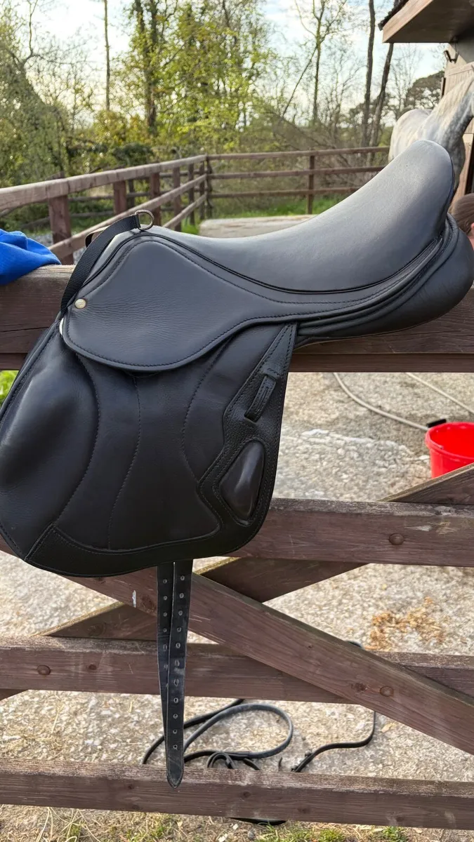 Saddle - Image 2