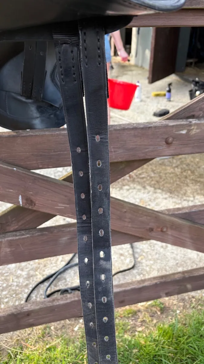 Saddle - Image 3