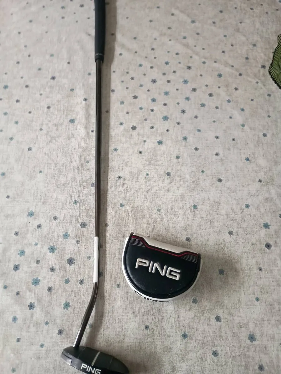 Driver and putter - Image 2