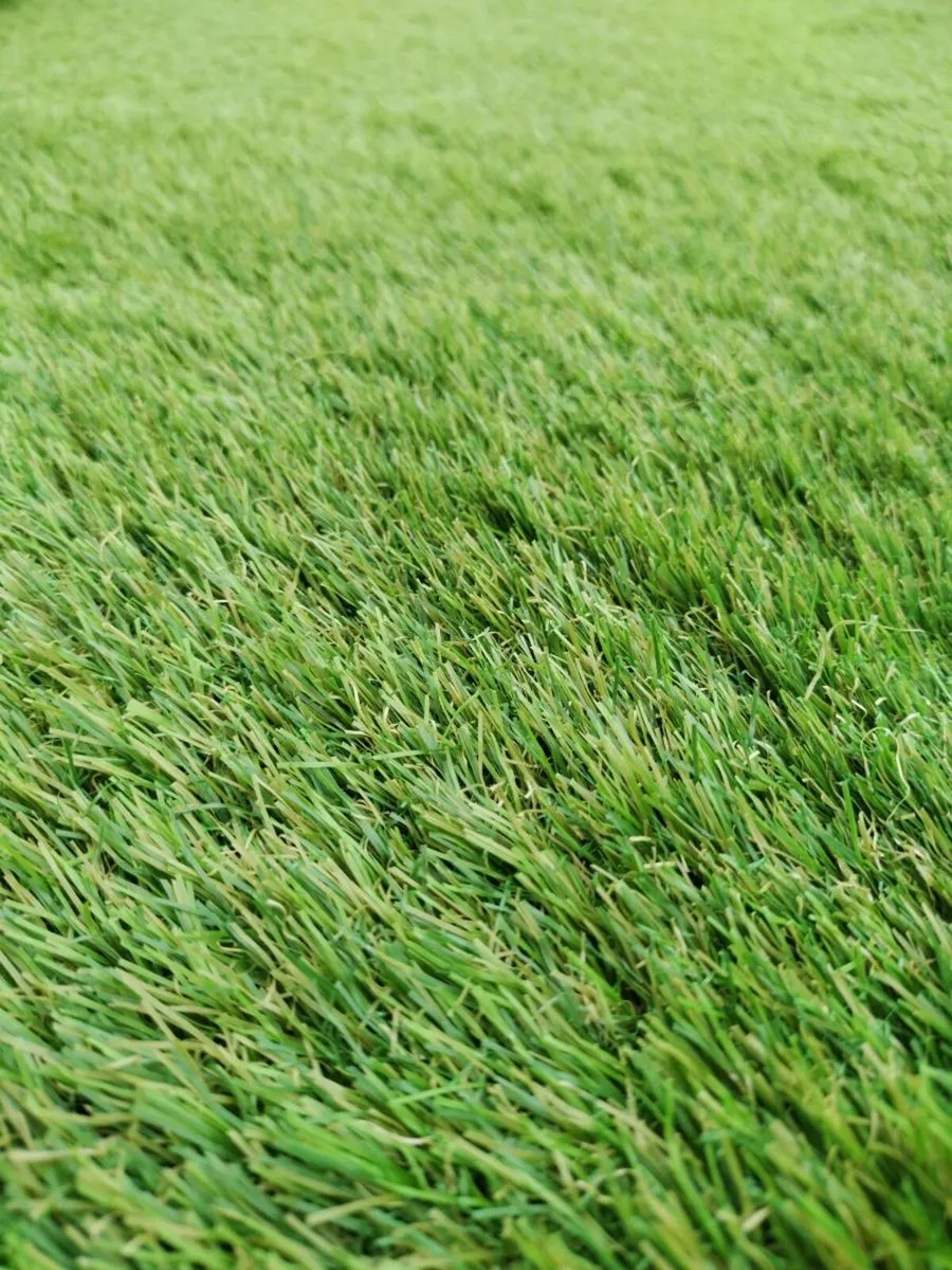 Artificial grass available in 4m wide 40mm thick - Image 2