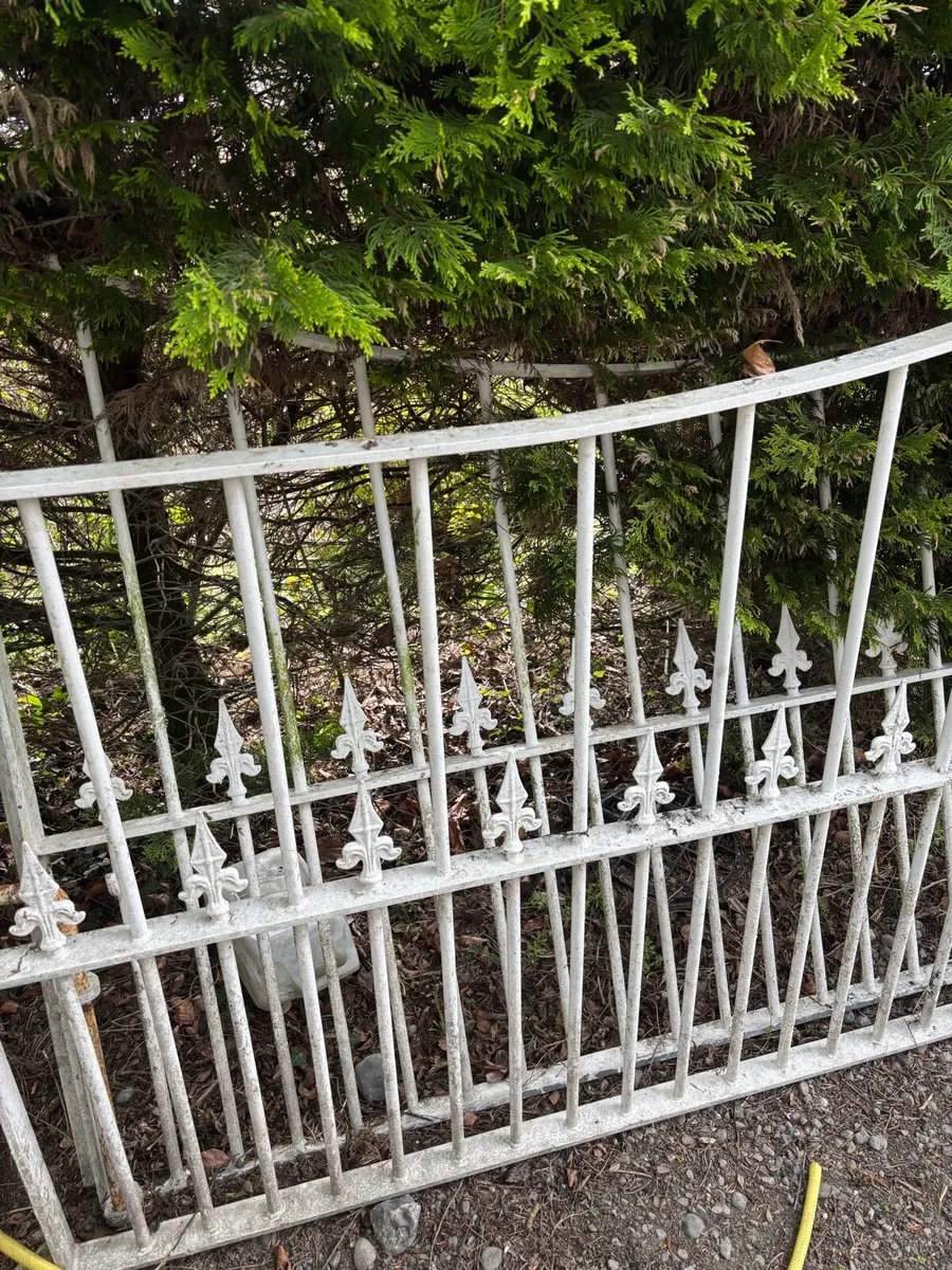 Iron gates - Image 1