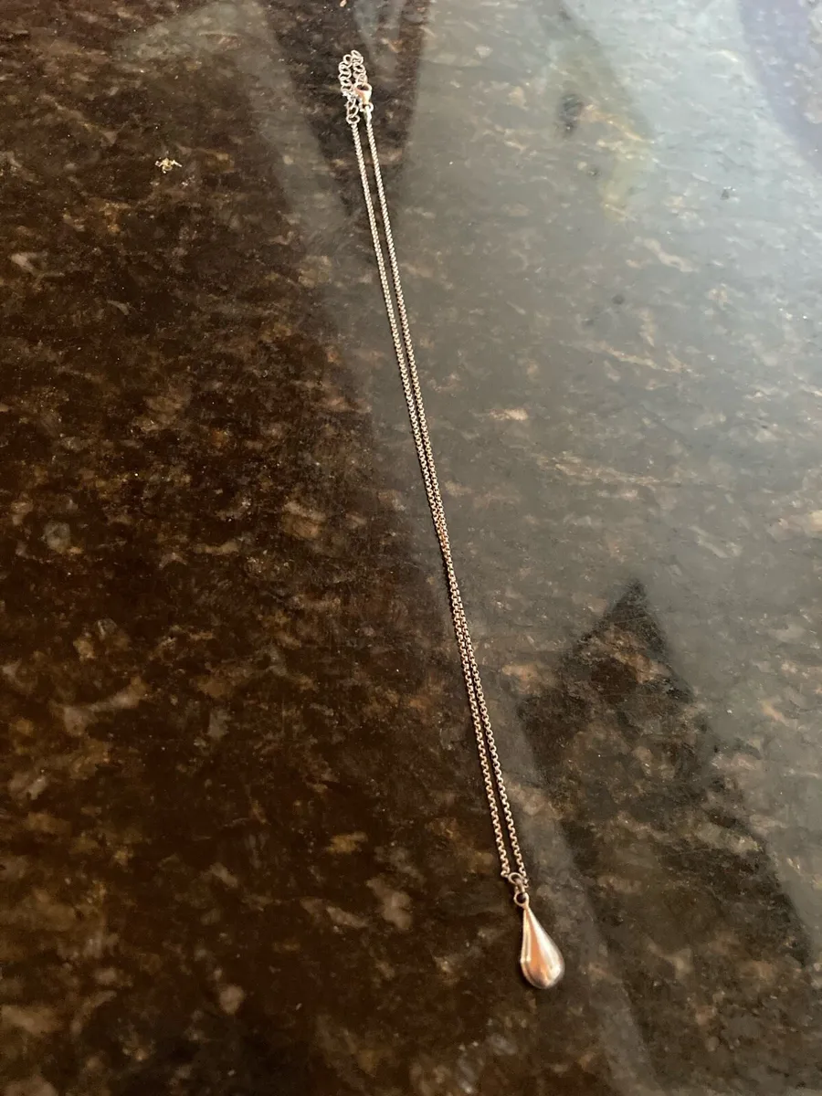 Sterling Silver chain and pendant - Image 1