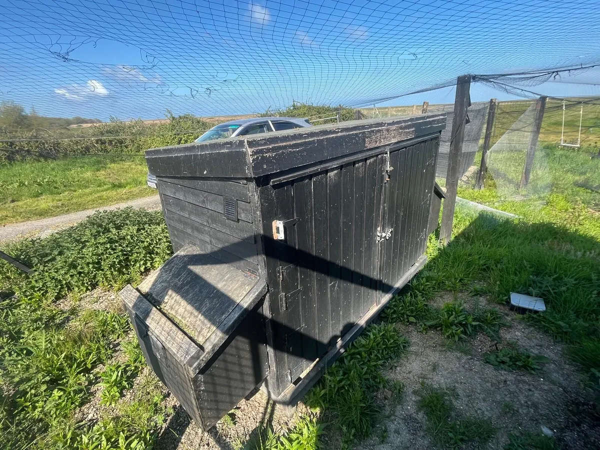 Chicken coop - Image 2