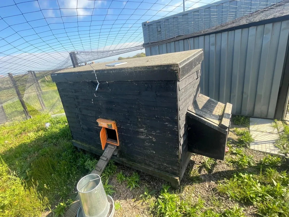 Chicken coop - Image 1