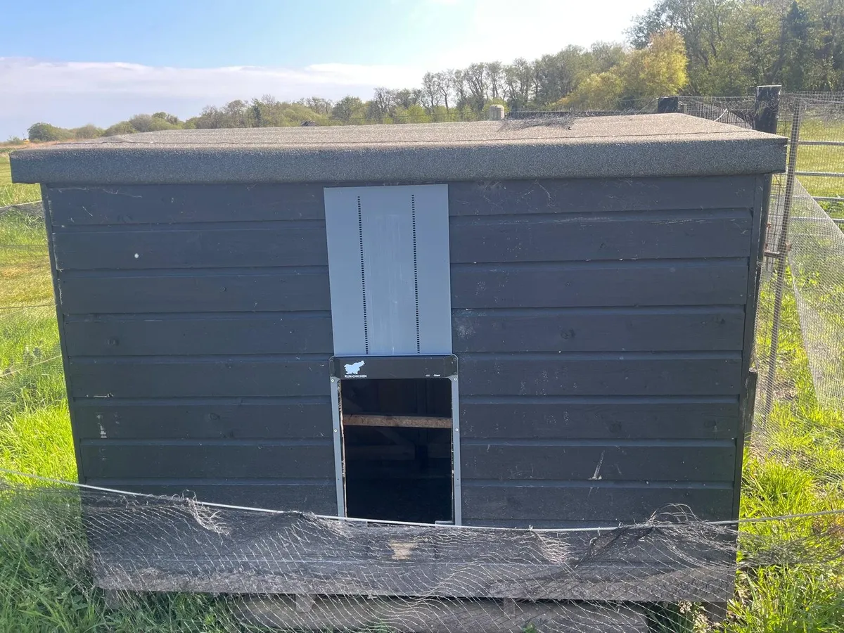 Turkey coop - Image 1