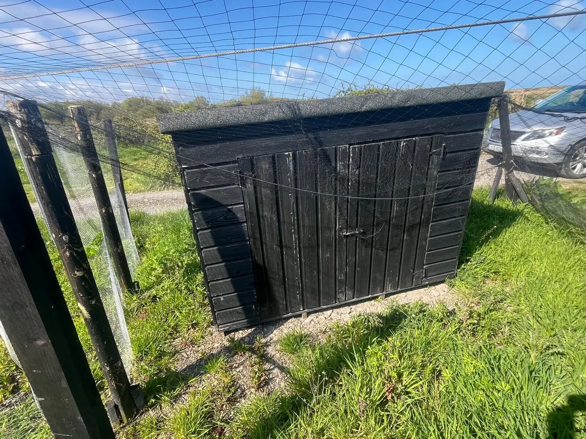 Turkey coop - Image 2