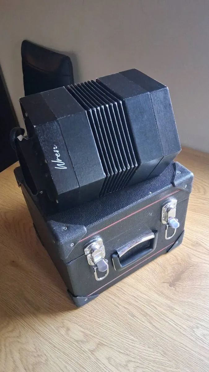 Concertina wren - Image 1