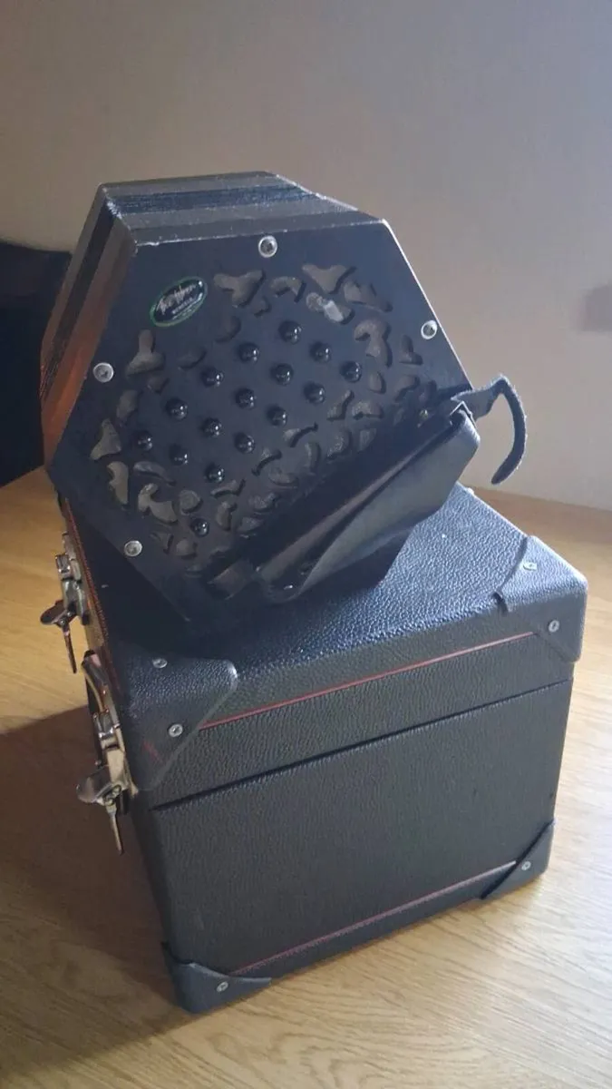 Concertina wren - Image 2