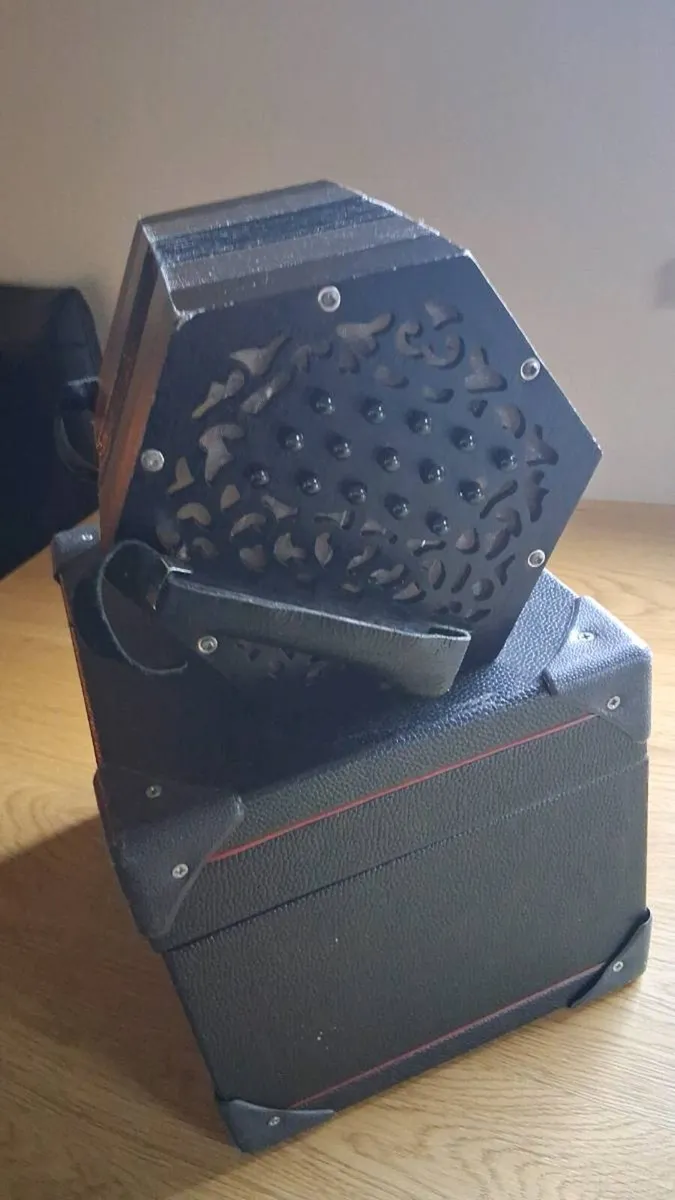 Concertina wren - Image 3