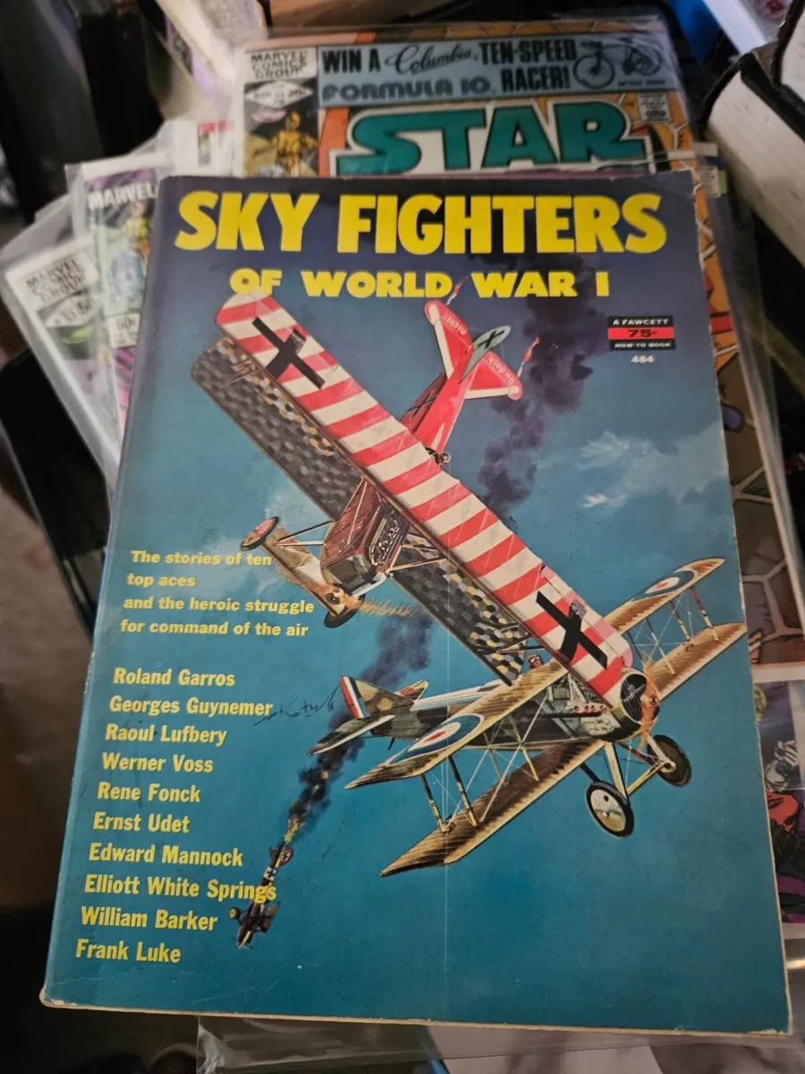 Book Sky Fighters of World War 1