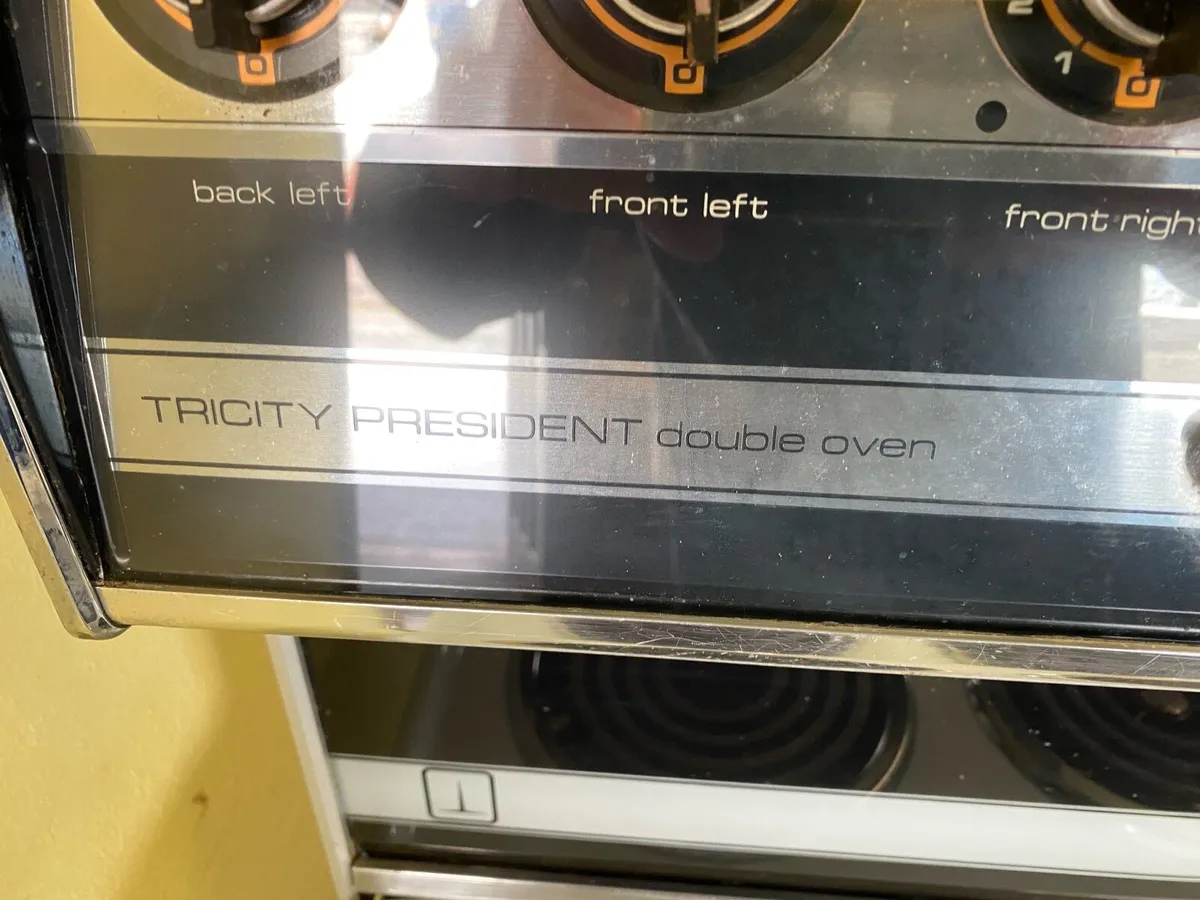 Electric Cooker - Image 1