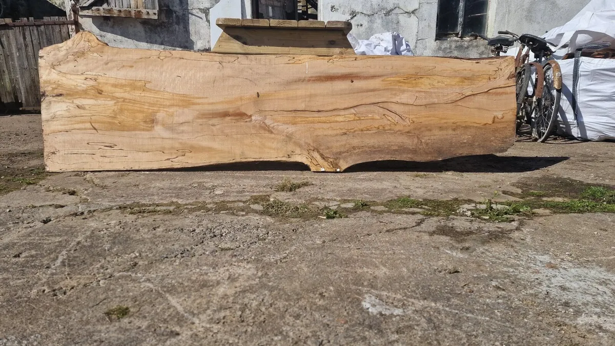Beautiful Spated Beech wood slabs x2 Dried - Image 1