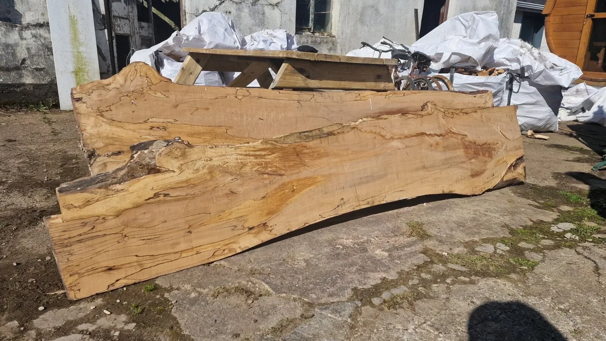 Beautiful Spated Beech wood slabs x2 Dried - Image 4