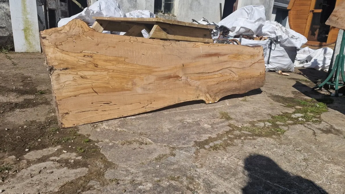 Beautiful Spated Beech wood slabs x2 Dried - Image 2
