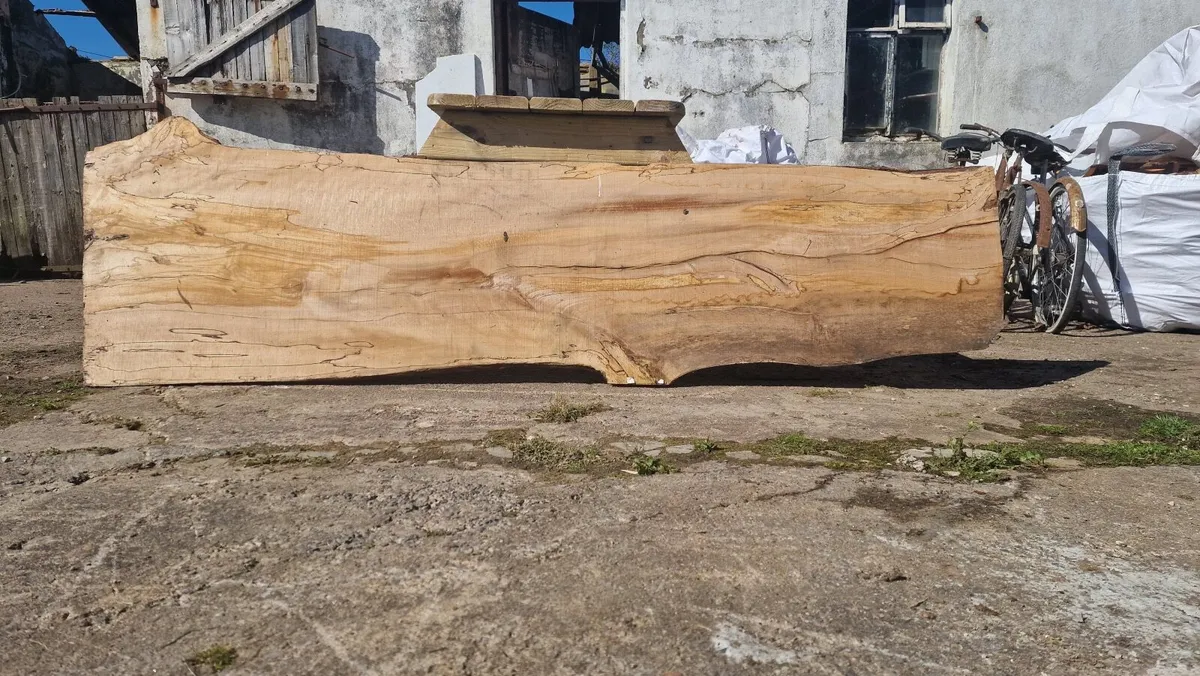 Beautiful Spated Beech wood slabs x2 Dried - Image 3