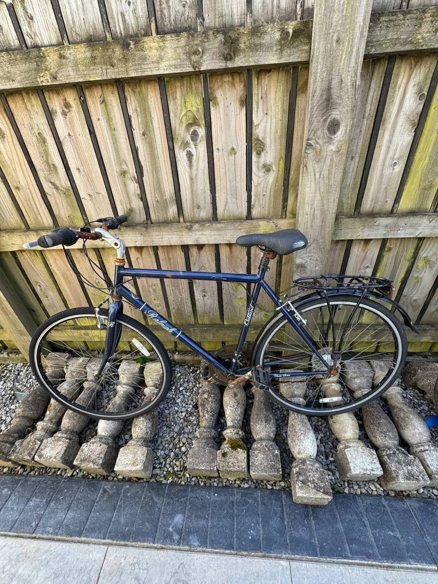 FREE Raleigh Bike only collection Roscommon town - Image 2
