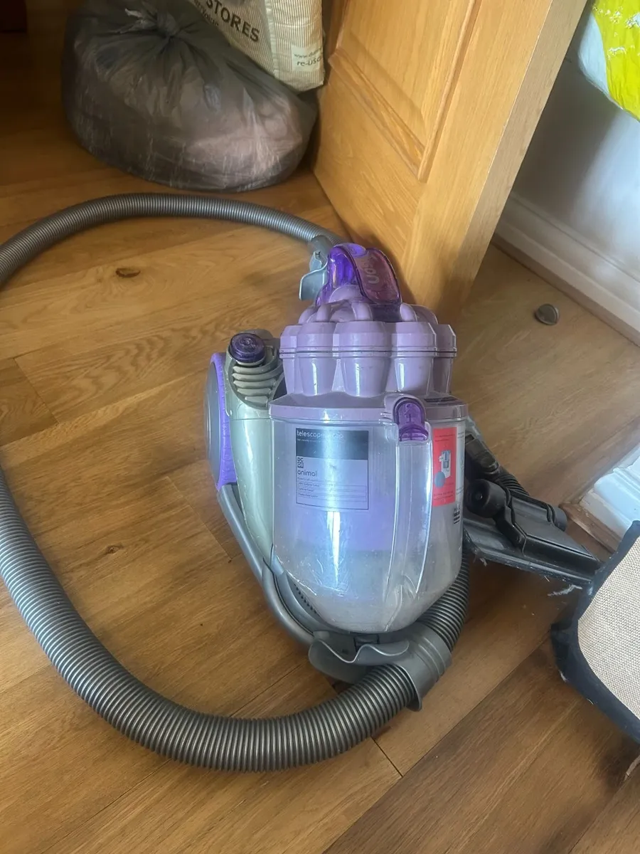Dyson hoover