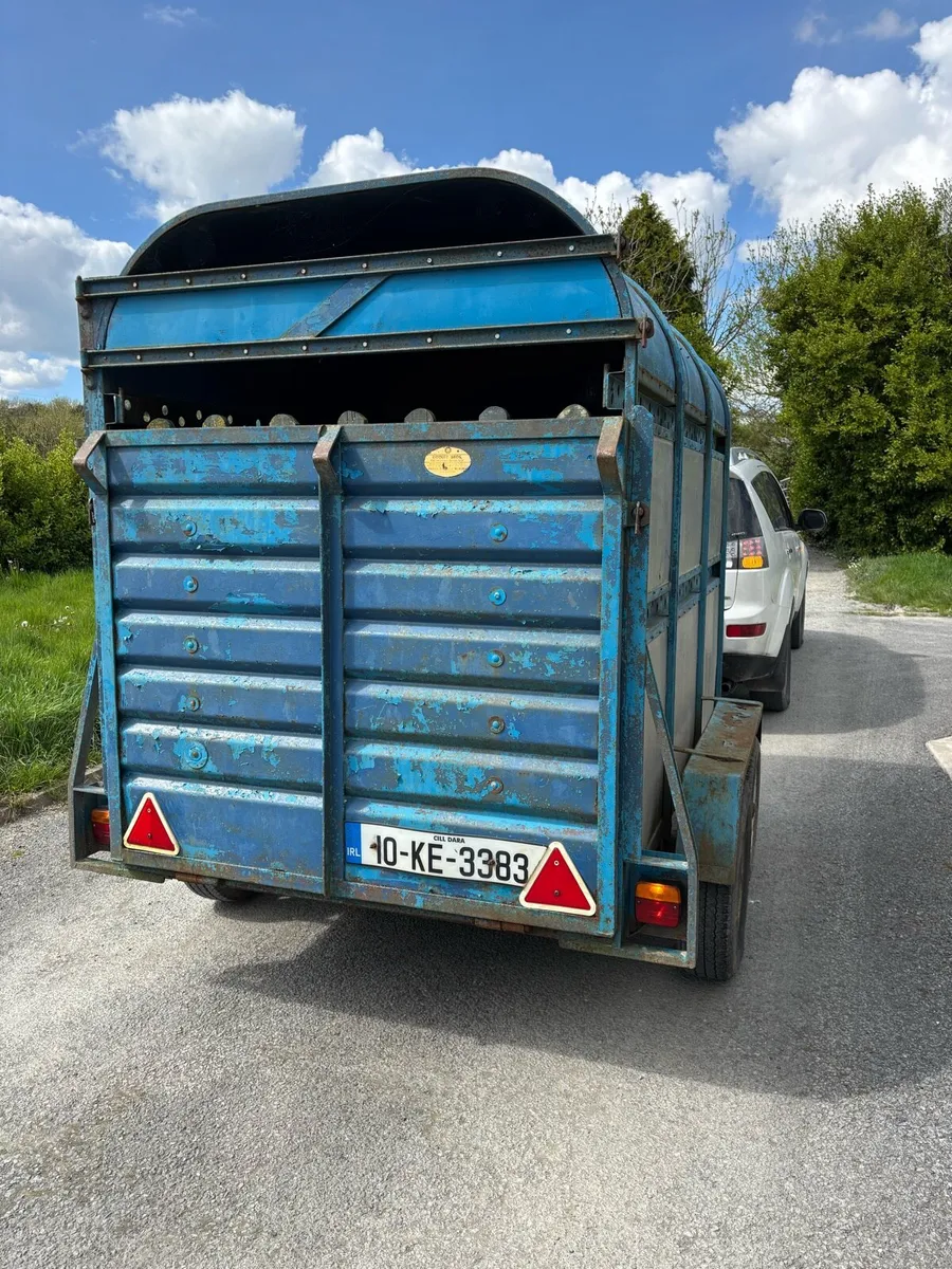 8x4”6 Dooley cow box - Image 2