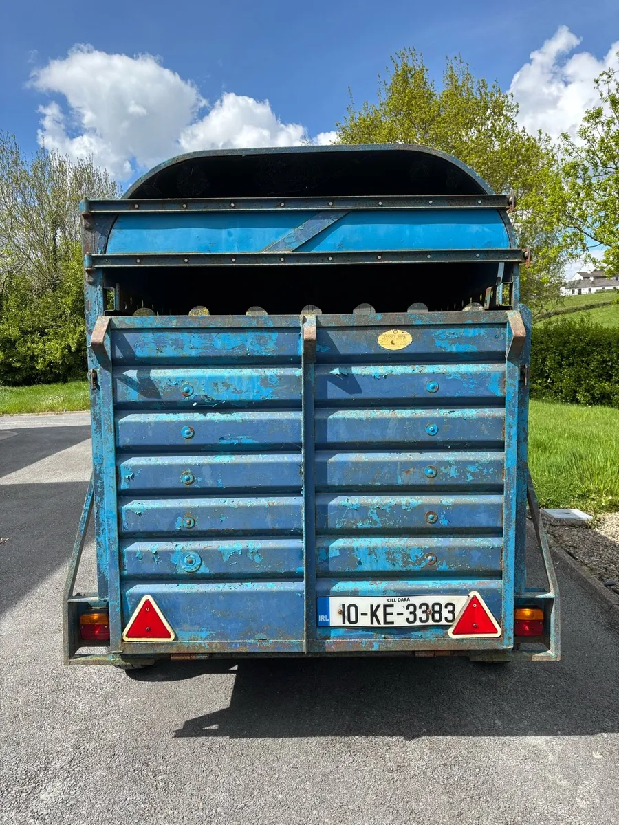 8x4”6 Dooley cow box - Image 3