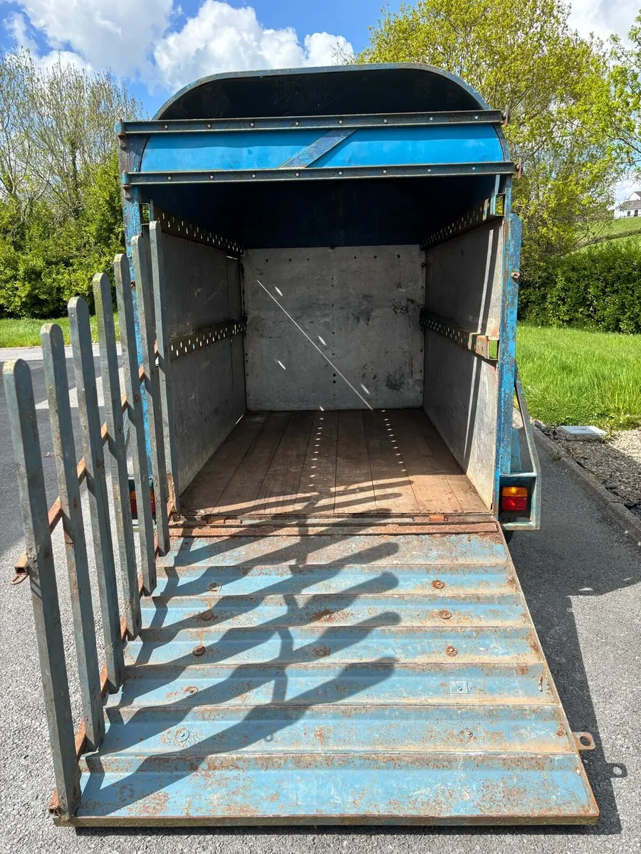 8x4”6 Dooley cow box - Image 4