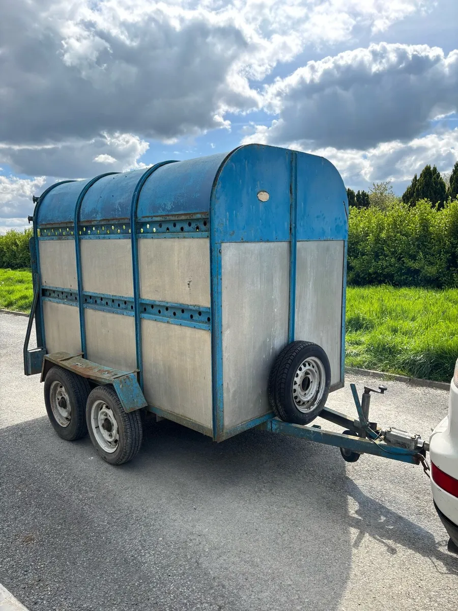 8x4”6 Dooley cow box - Image 1