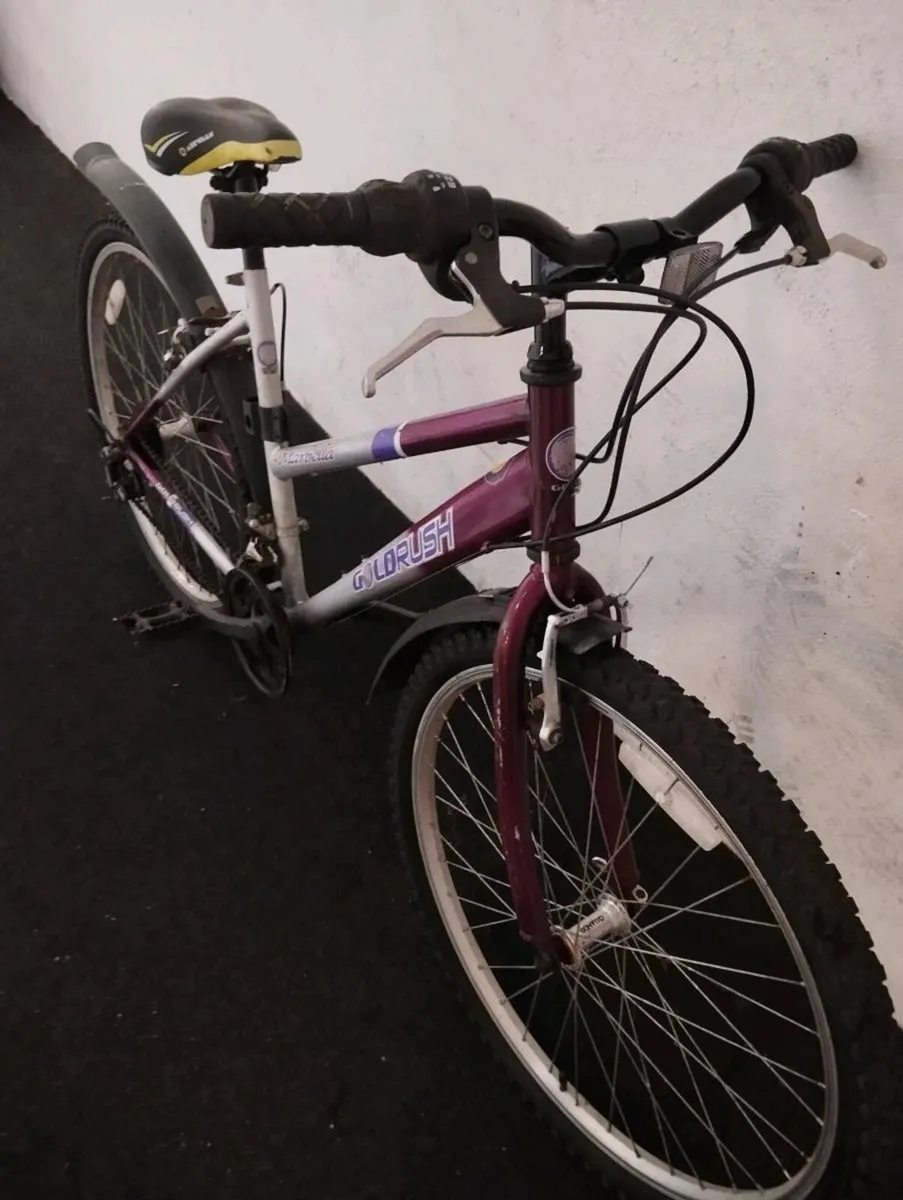 Ladies 26inch bike - Image 4