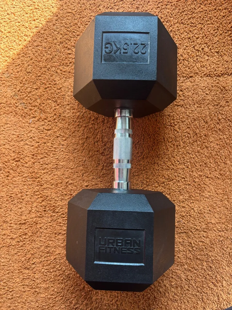 22.5kg Weight Dumbell