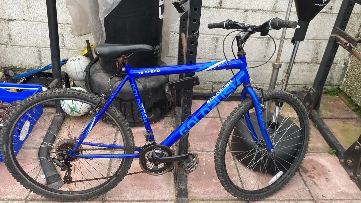 Goldrush MTB Bike
