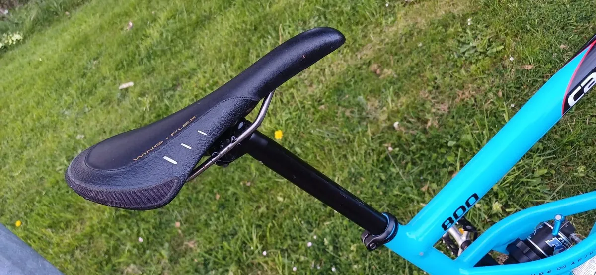 Cannondale Jekyll 800 lefty - Image 4