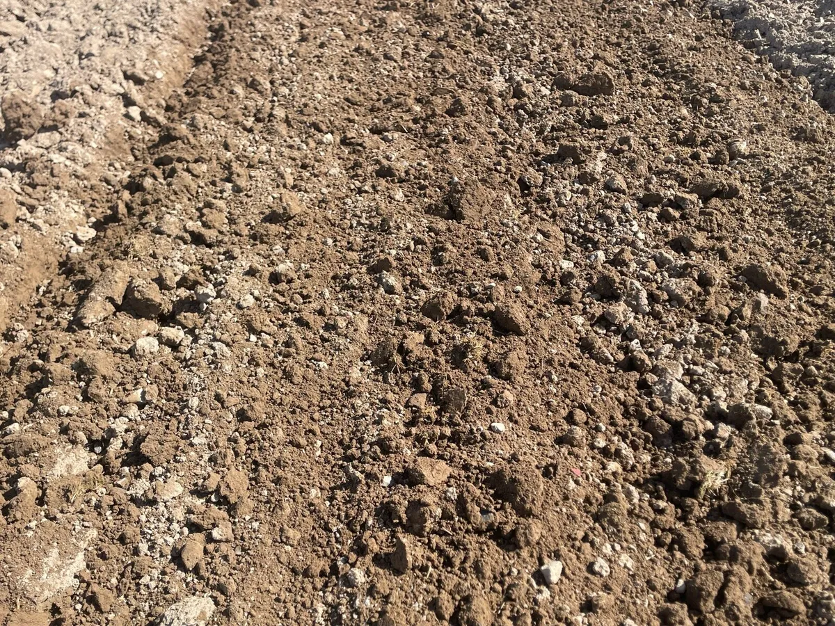 Ransomes Disc Harrow - Image 3