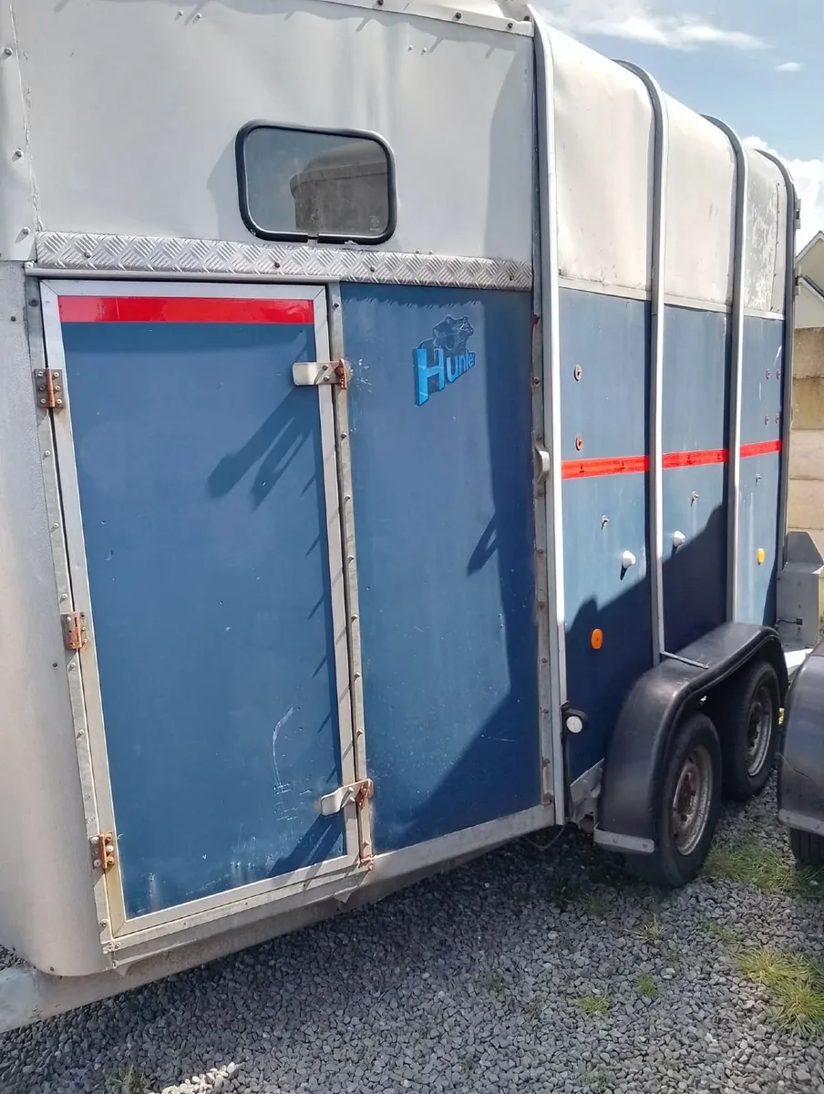 Ifor williams horse boxs - Image 2