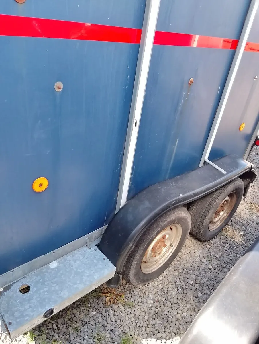 Ifor williams horse boxs - Image 3