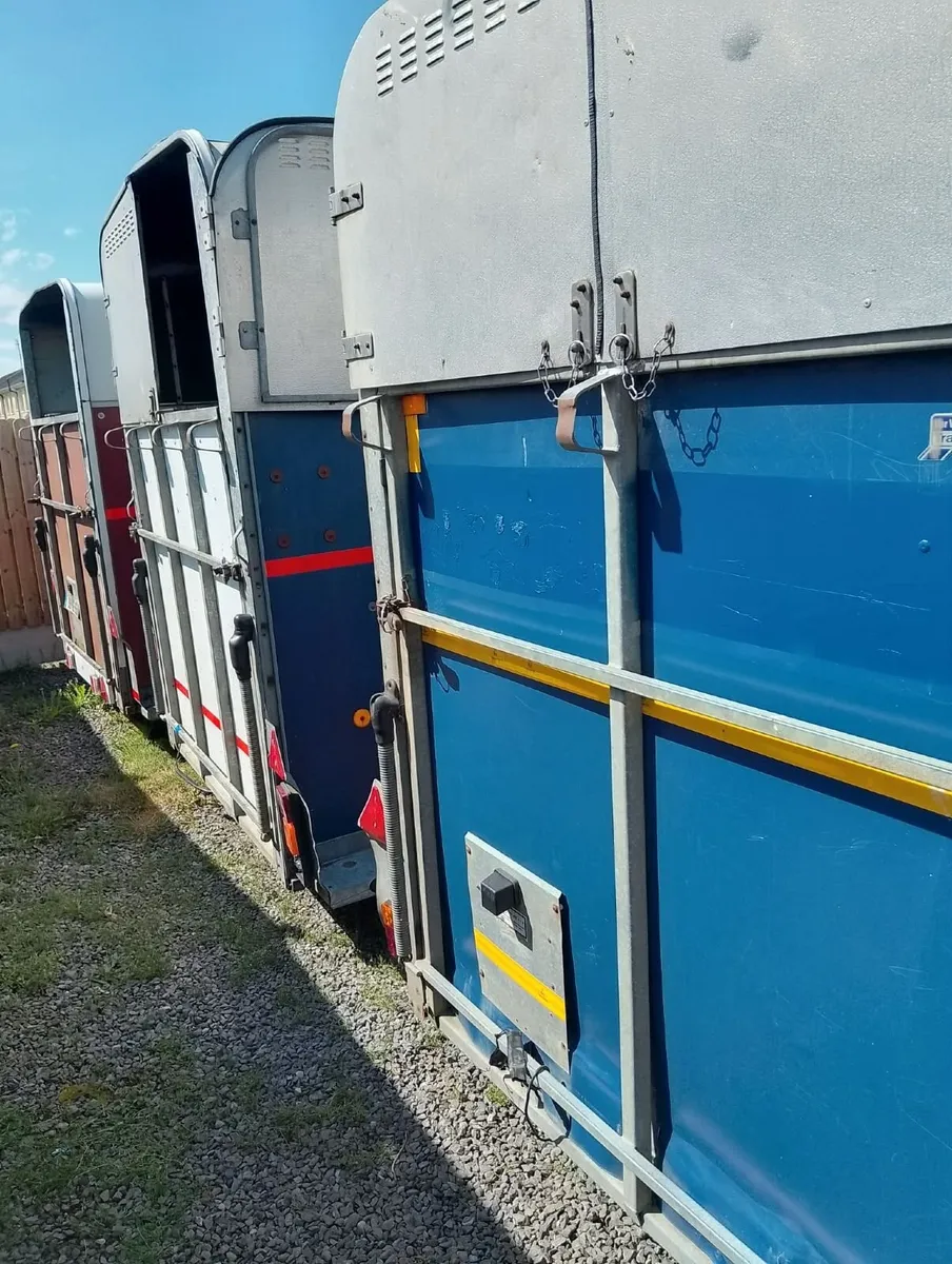 Ifor williams horse boxs - Image 4