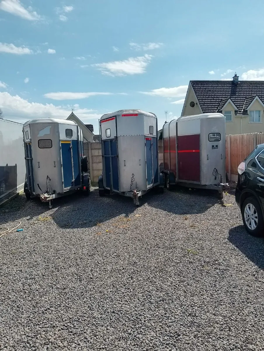 Ifor williams horse boxs - Image 1