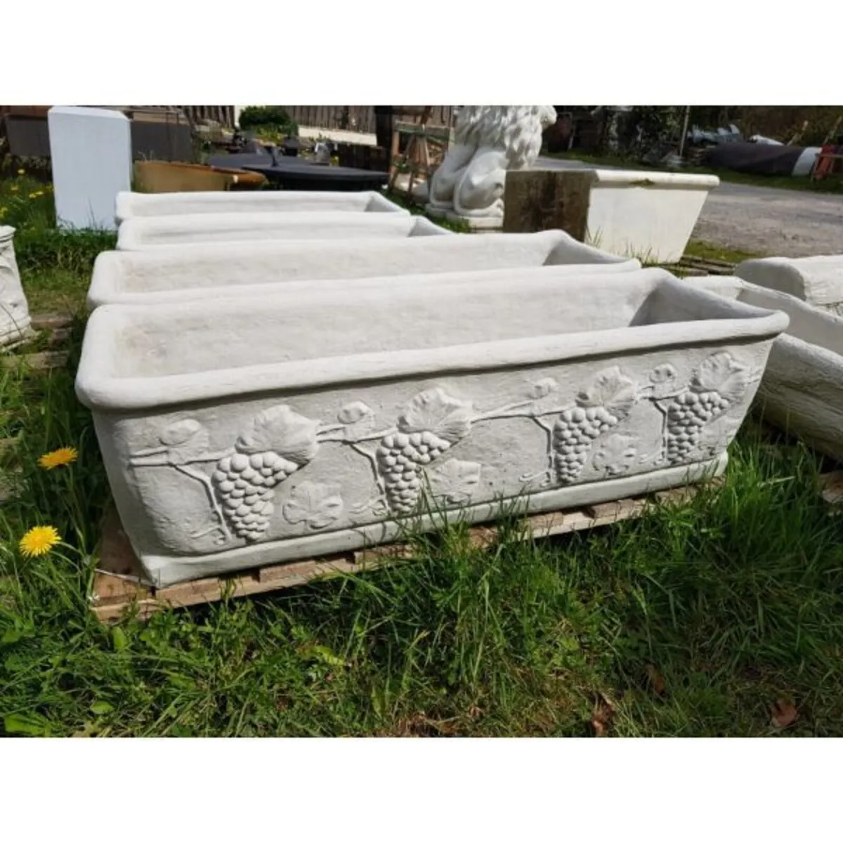 Planter – Grape Lg-GL-PL101