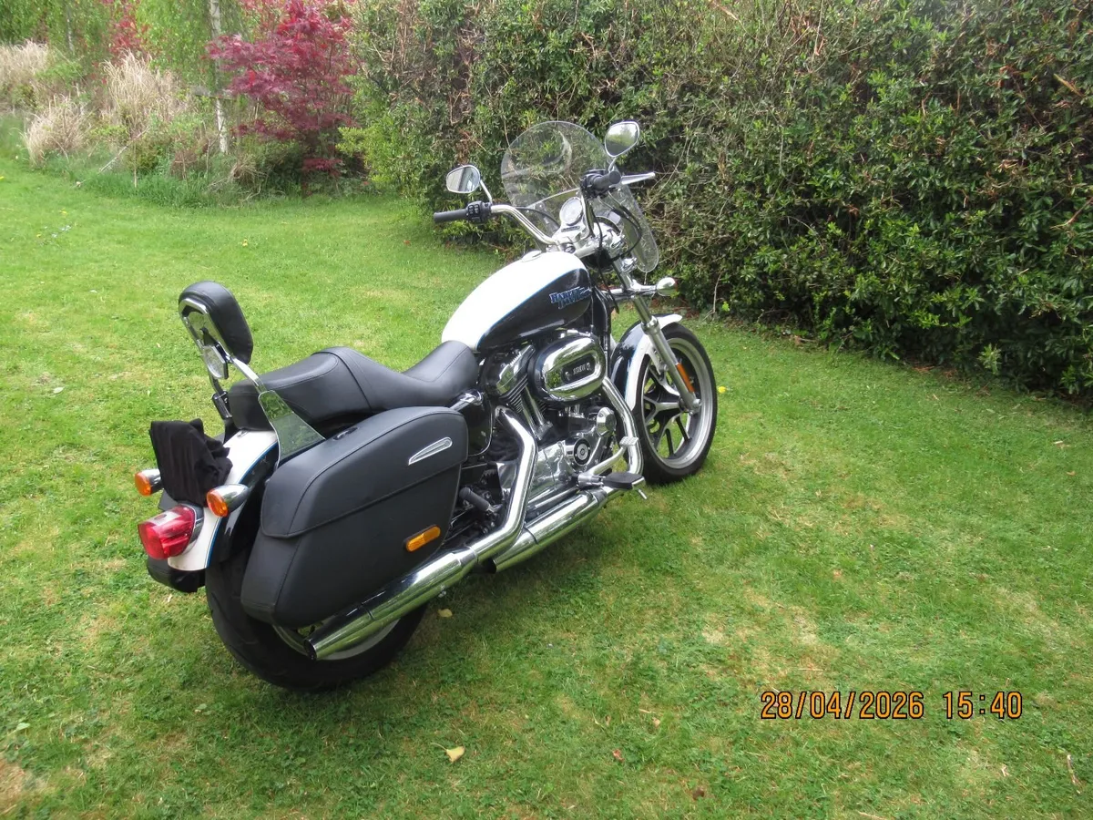 HARLEY DAVIDSON SPORTSTER 2014 - Image 3