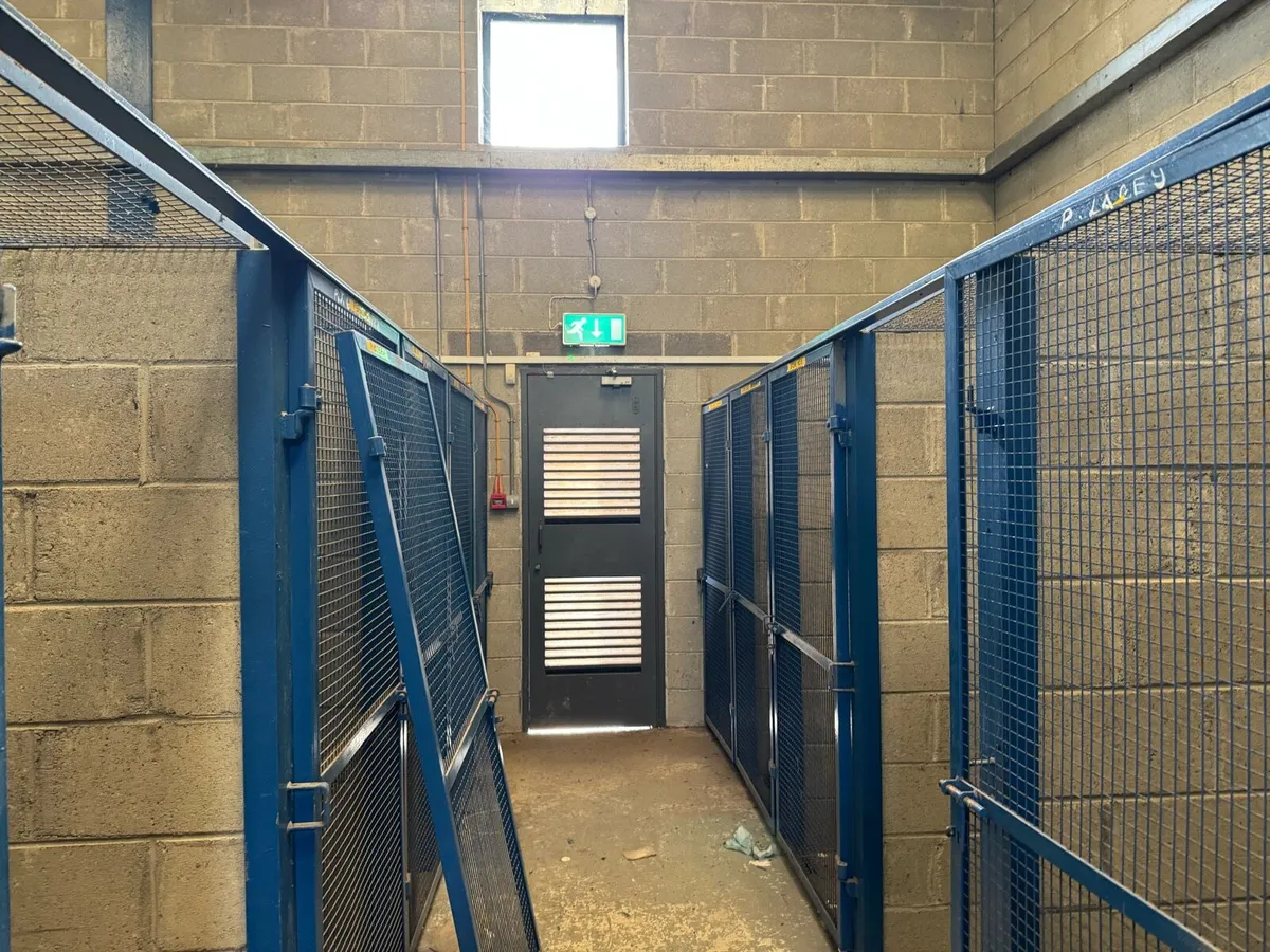 Kennels - Image 4